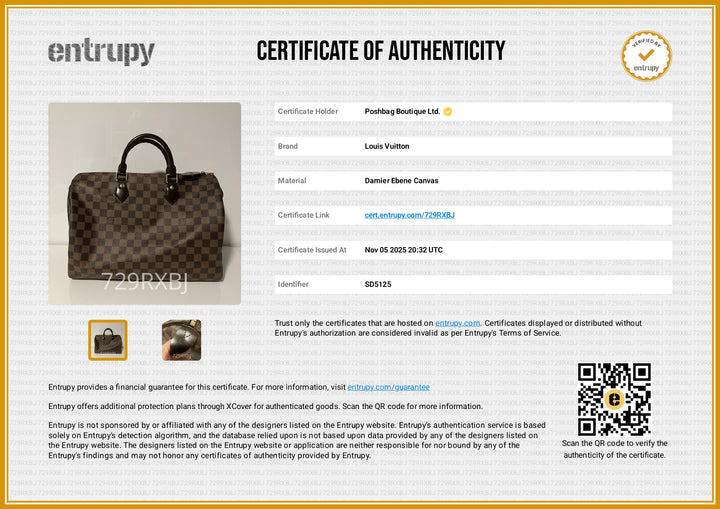 Speedy 35 Damier Ebene Canvas Bag