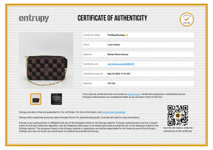 Damier Paillettes Mini Pochette Accessoires Bag