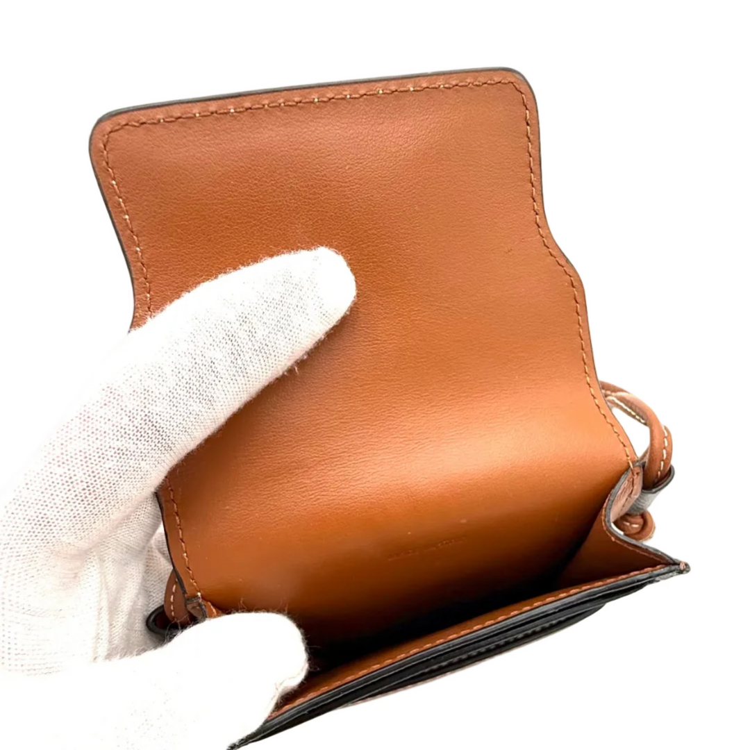 Triomphe Canvas and Calfskin Phone Pouch