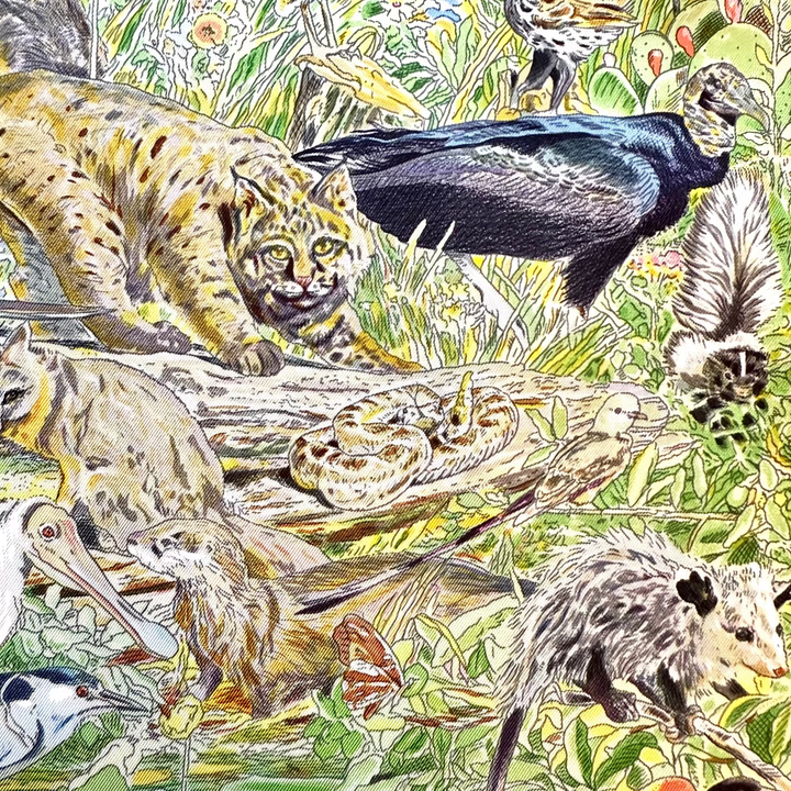 La Vie Sauvage du Texas by Kermit Oliver