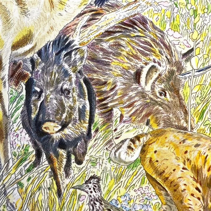 La Vie Sauvage du Texas by Kermit Oliver