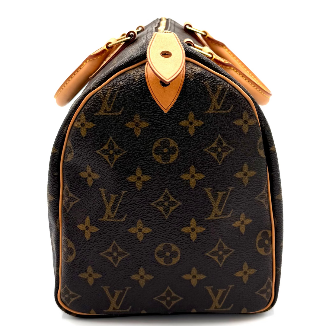 Speedy 30 Monogram Canvas Bag