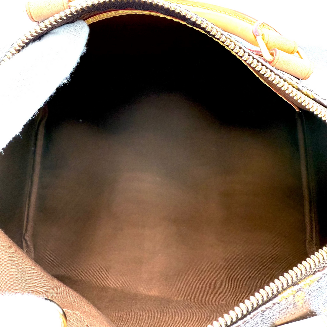 Speedy 30 Monogram Canvas Bag