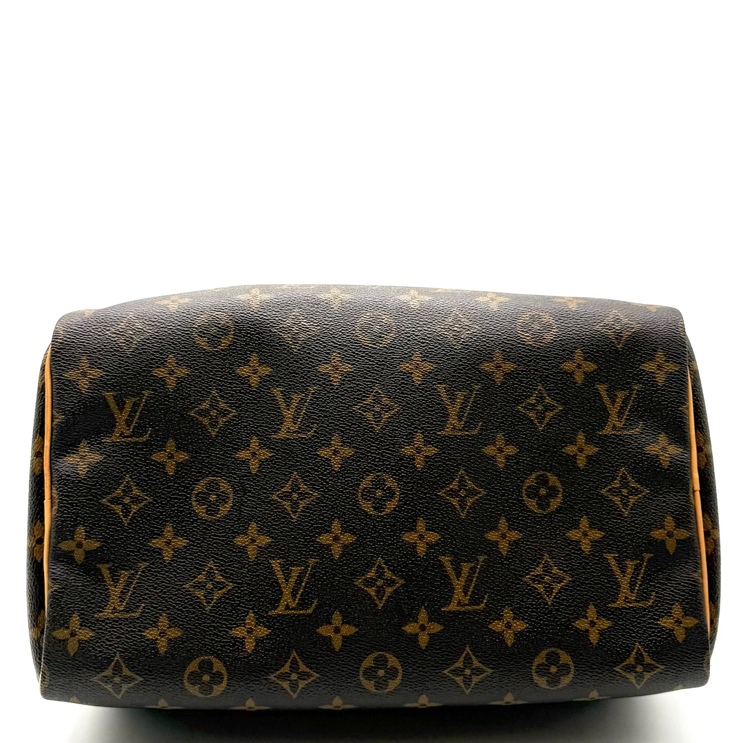 Speedy 30 Monogram Canvas Bag