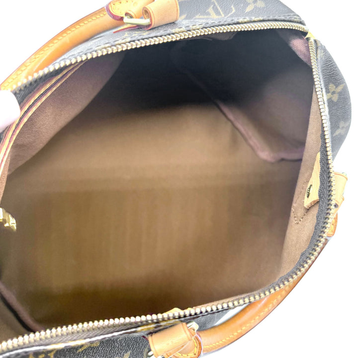 Speedy 30 Monogram Canvas Bag