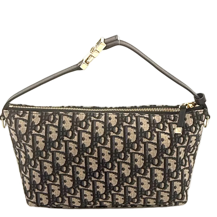 DiorTravel Nomad Medium Pouch