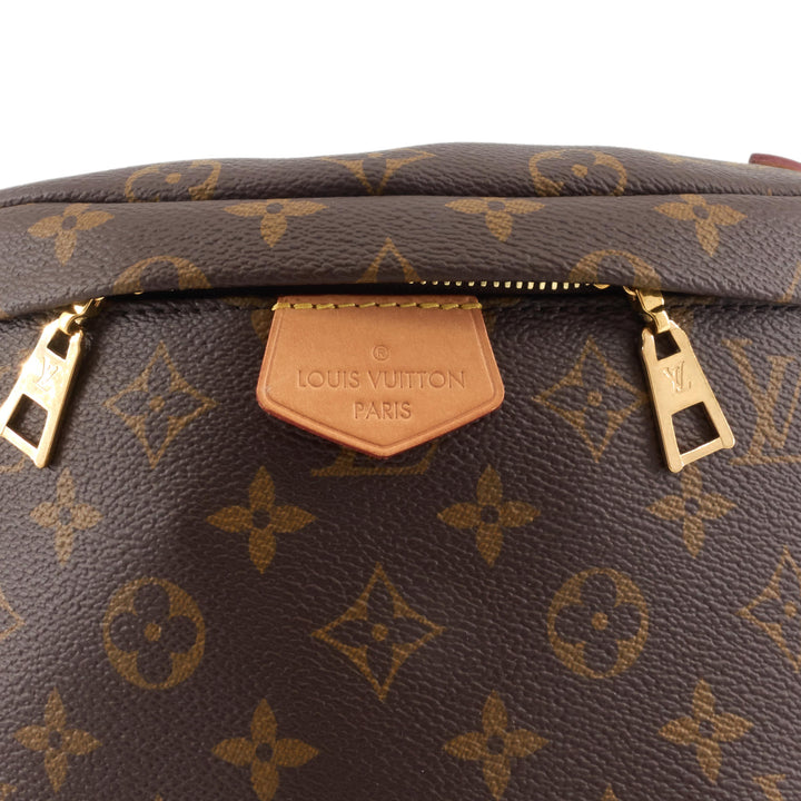 Monogram Canvas Bum Bag