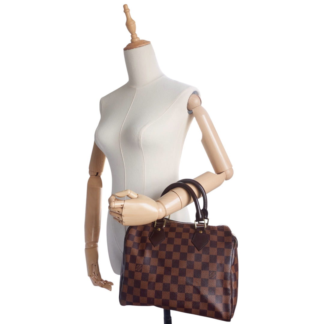 Speedy 25 Damier Ebene Canvas Bag