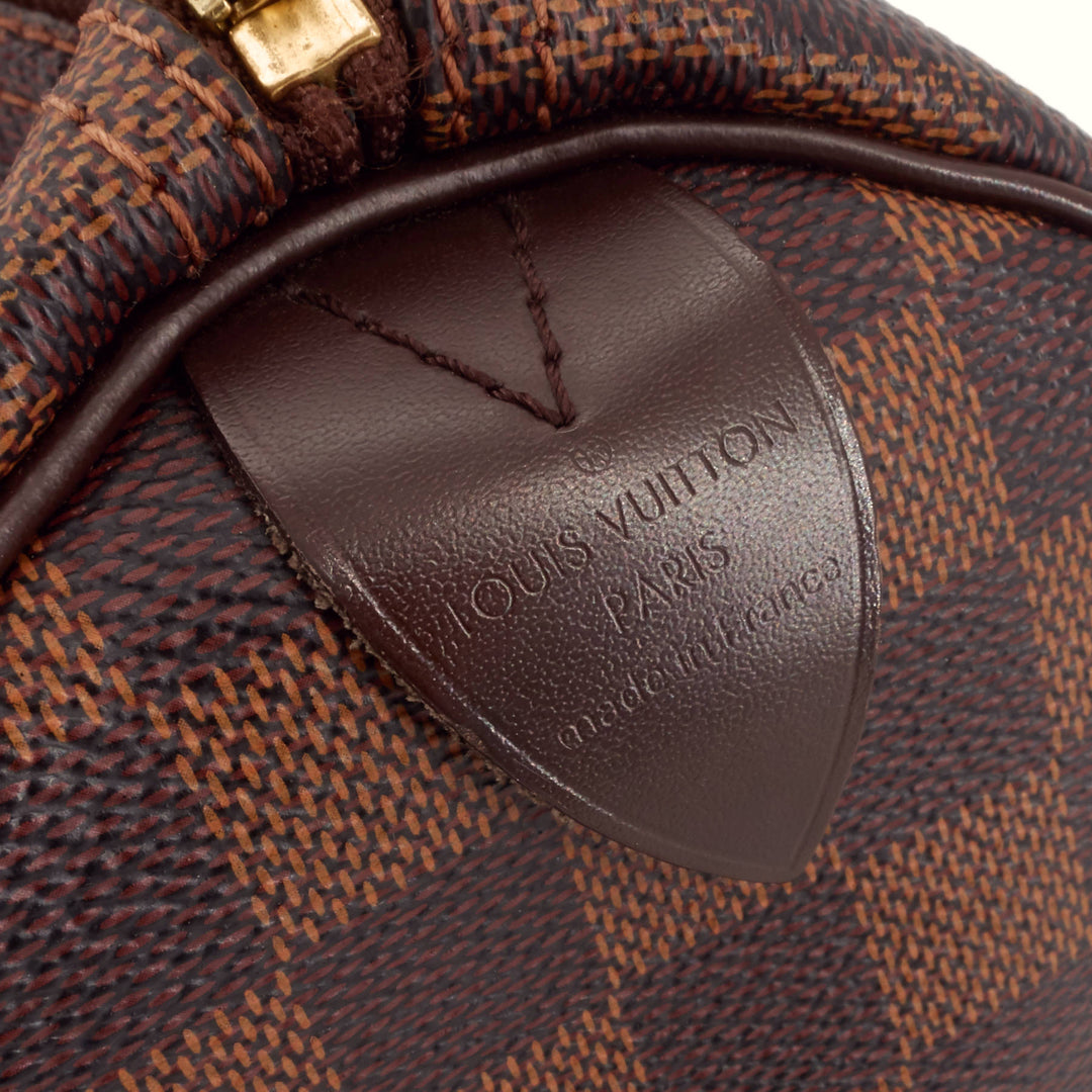 Speedy 25 Damier Ebene Canvas Bag