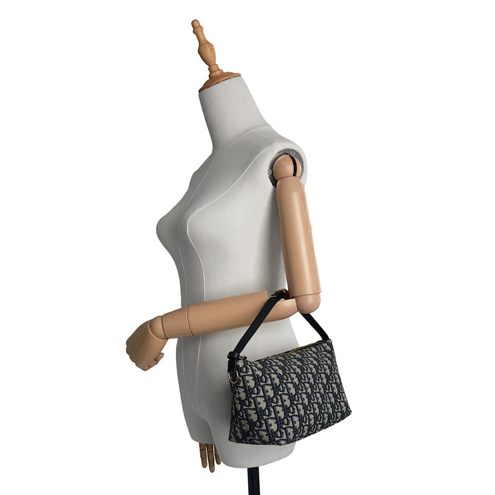 DiorTravel Nomad Medium Pouch