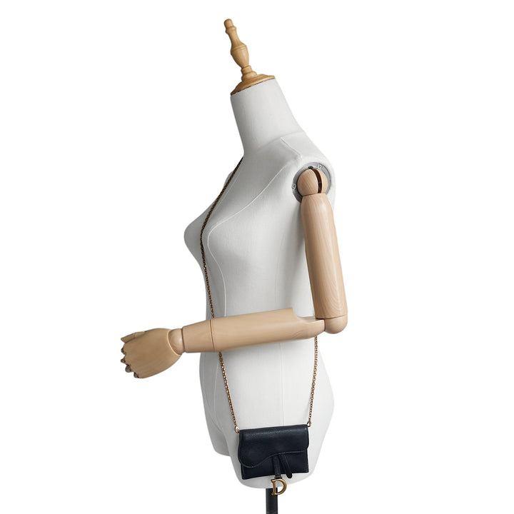 Saddle Nano Leather Belt Crossbody Bag