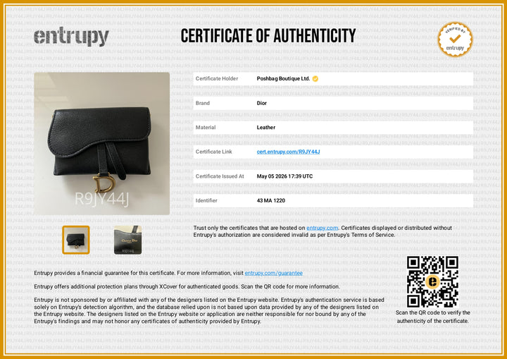 Saddle Nano Leather Belt Crossbody Bag