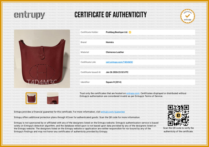 Evelyne 29 Clemence Leather Bag