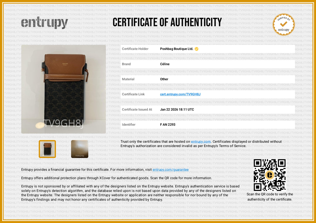 Triomphe Canvas and Calfskin Phone Pouch