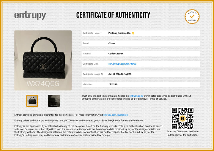 CC Coco Small Caviar and Lizard-Embossed Handle Bag