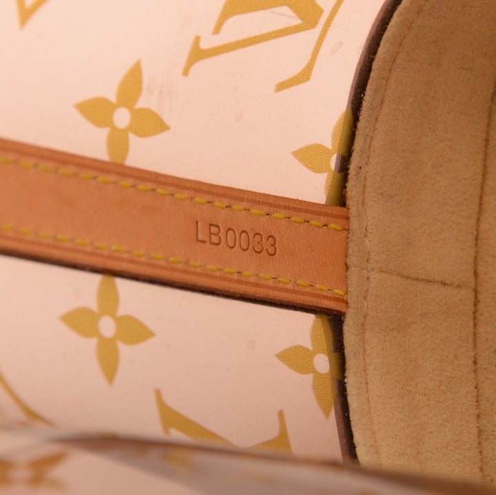 sac ambre pm monogram vinyl tote bag - 2003 limited edition bag