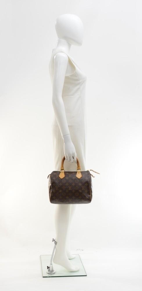 speedy 25 monogram canvas handbag