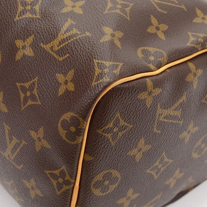 speedy 25 monogram canvas handbag