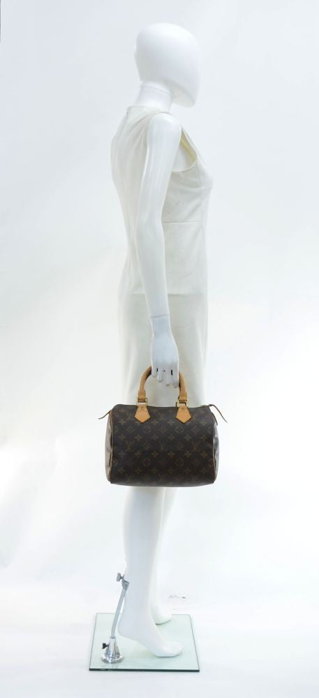 speedy 25 monogram canvas handbag