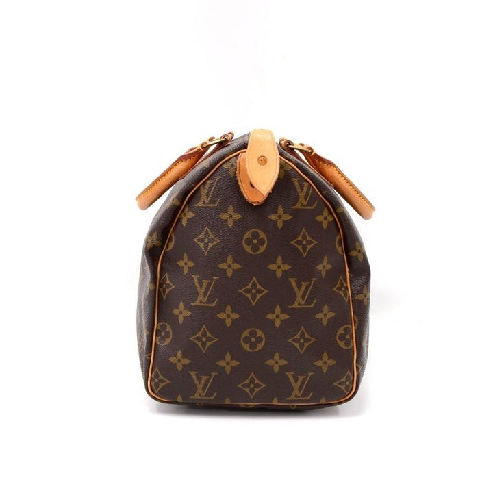speedy 30 monogram canvas handbag