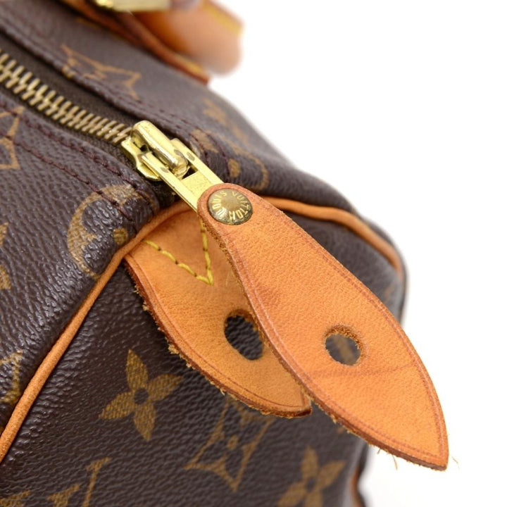 speedy 25 monogram canvas handbag