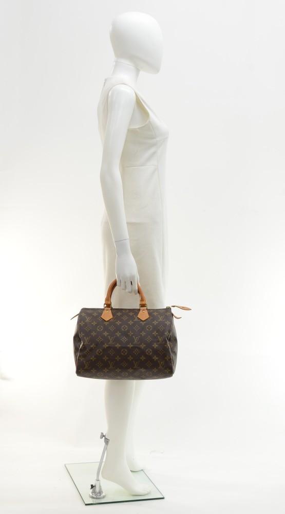 speedy 30 monogram canvas handbag
