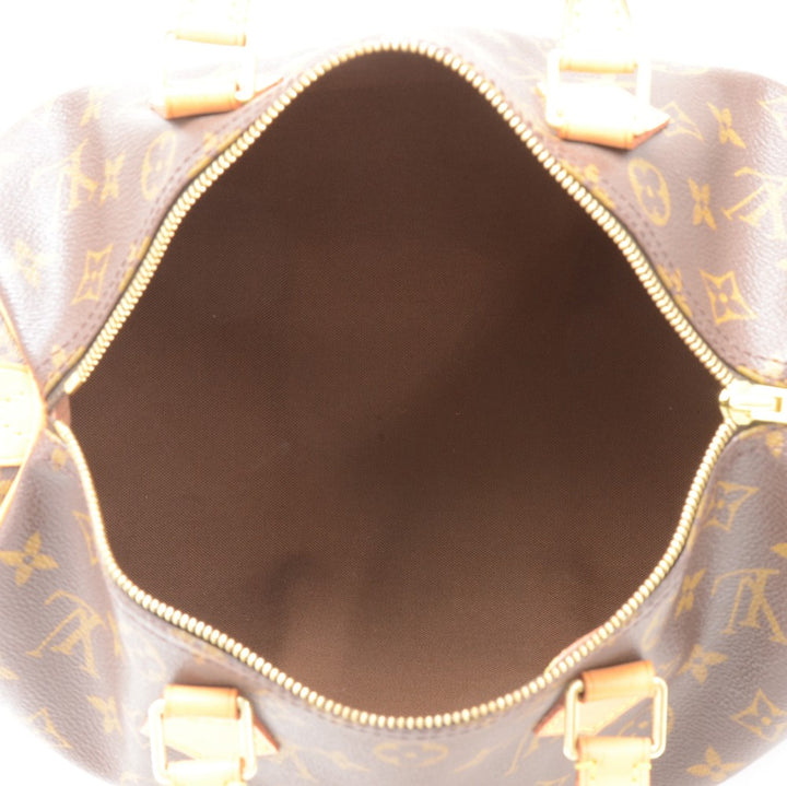 speedy 30 monogram canvas handbag