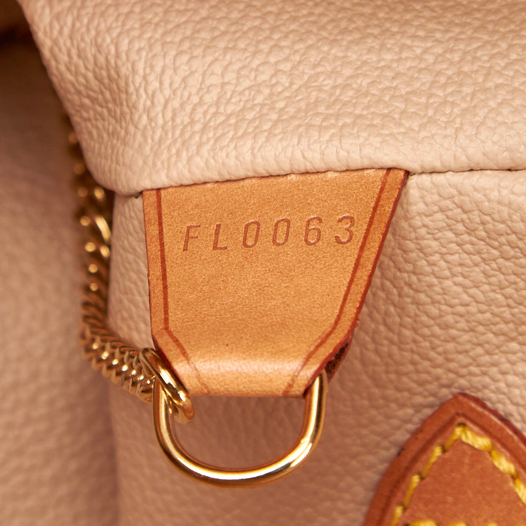 petit bucket monogram canvas tote bag