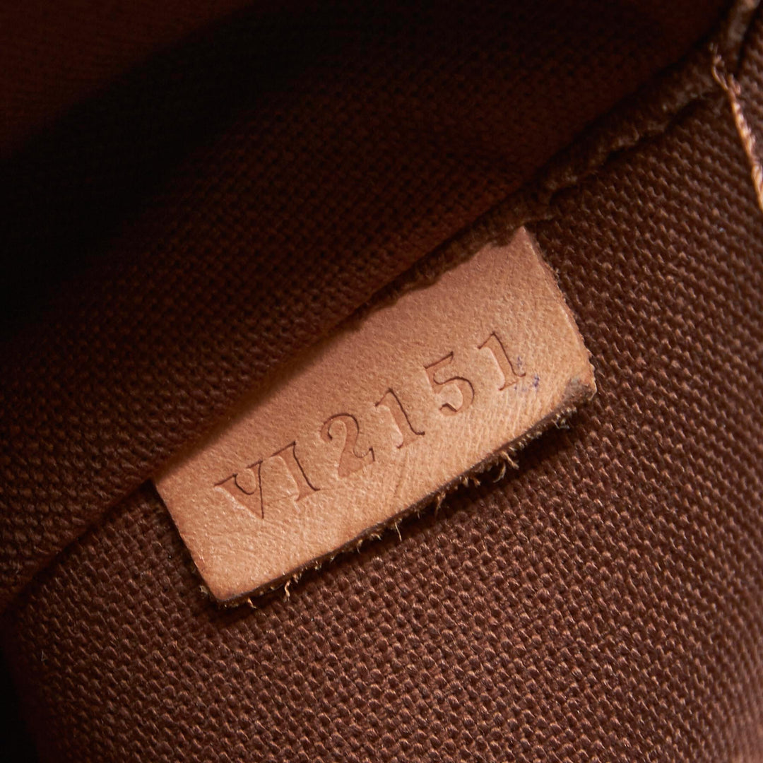 palermo pm monogram canvas handbag with strap