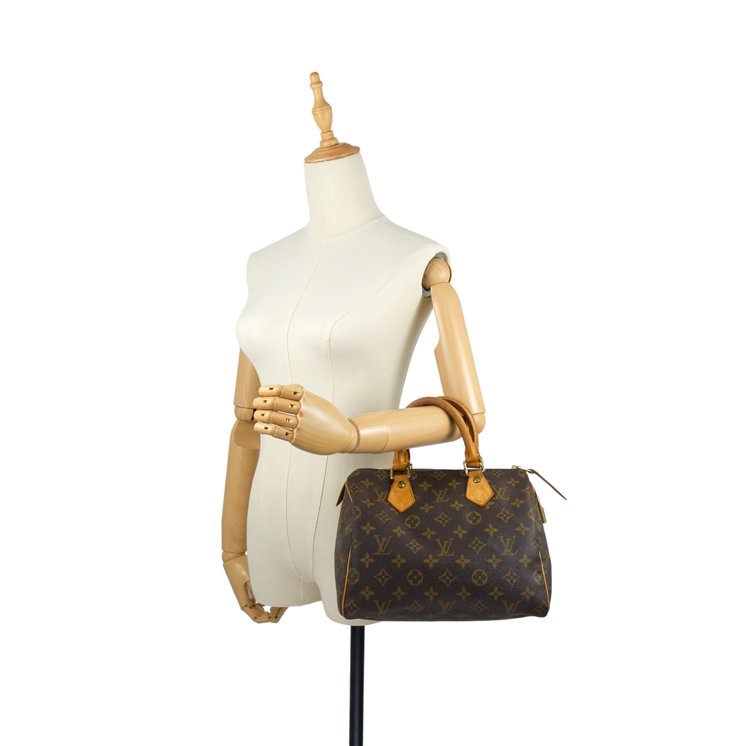 Speedy 25 Monogram Canvas Bag