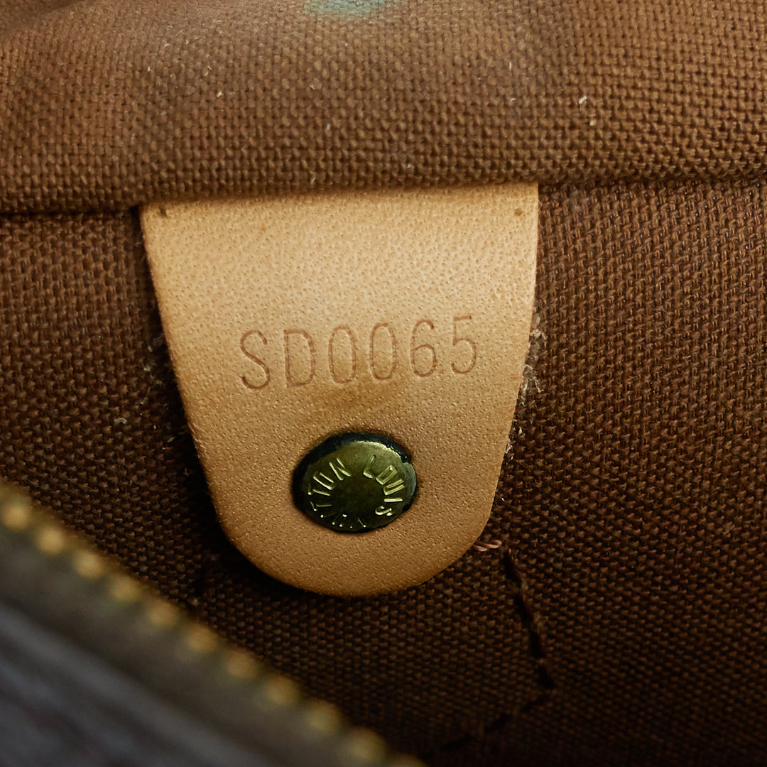 Speedy 25 Monogram Canvas Bag