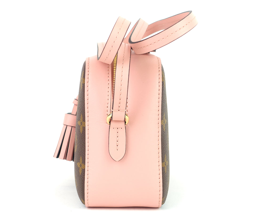 saintonge monogram canvas and calf leather bag