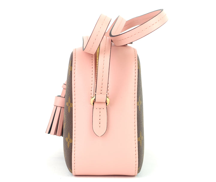 saintonge monogram canvas and calf leather bag