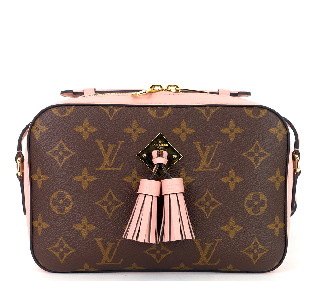 saintonge monogram canvas and calf leather bag