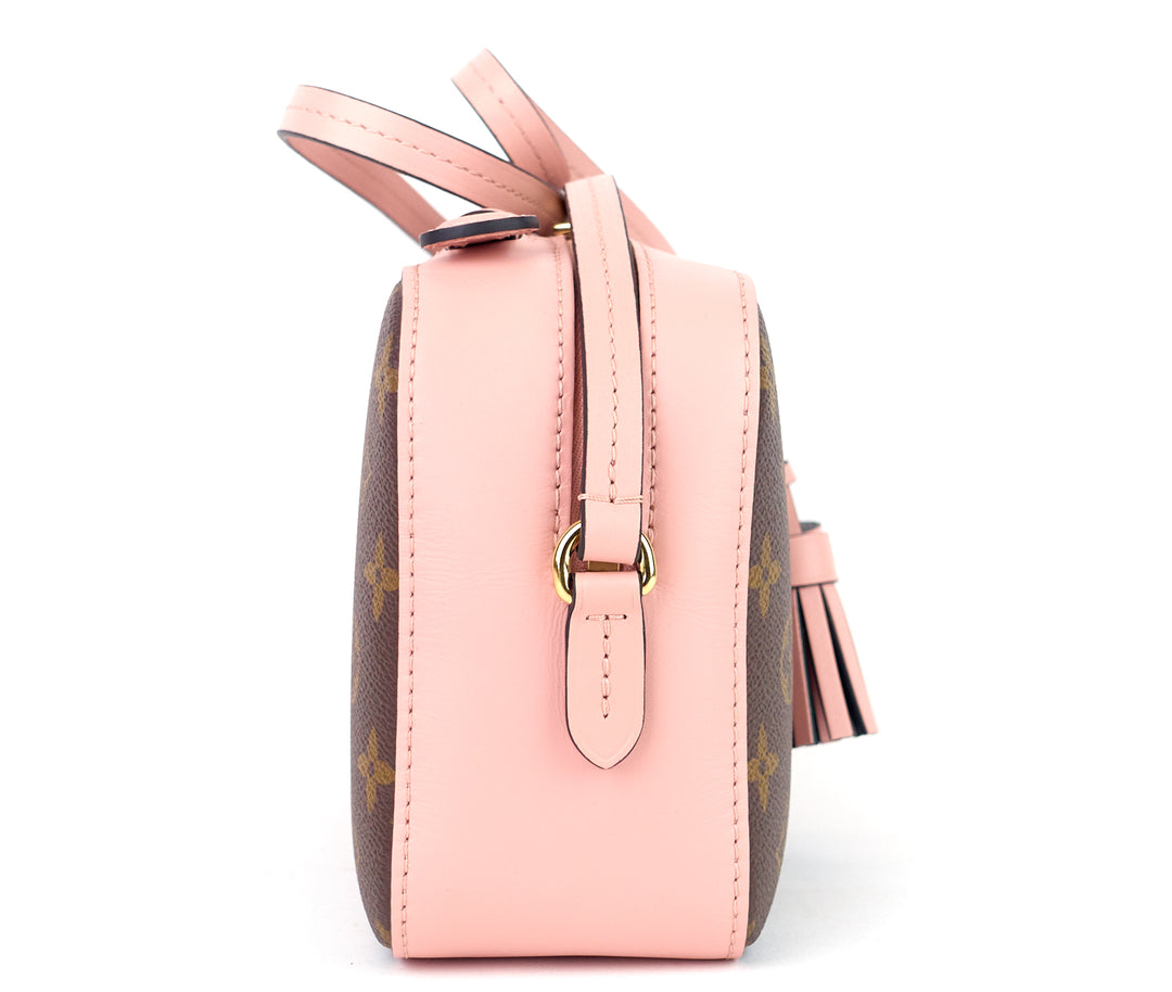 saintonge monogram canvas and calf leather bag