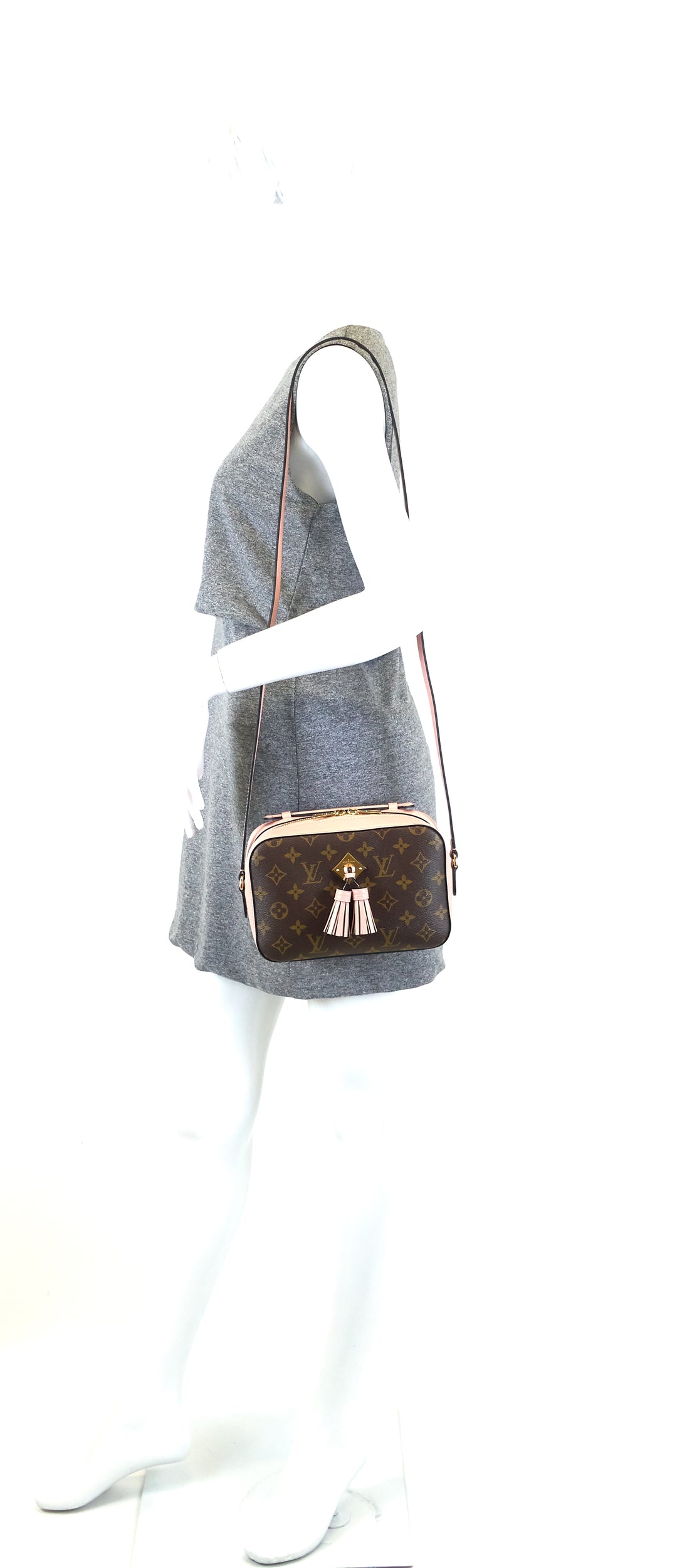 saintonge monogram canvas and calf leather bag