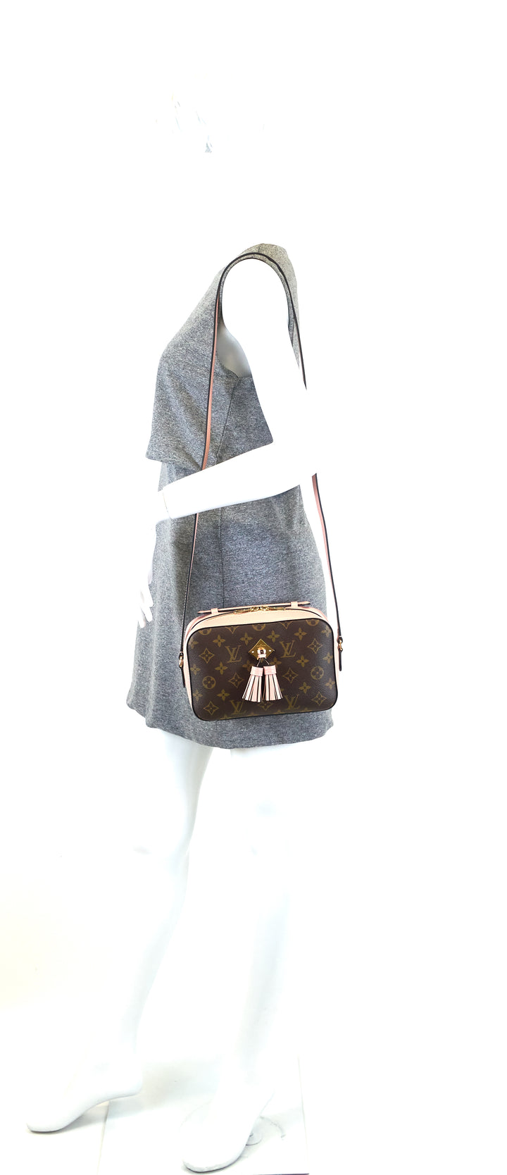 saintonge monogram canvas and calf leather bag