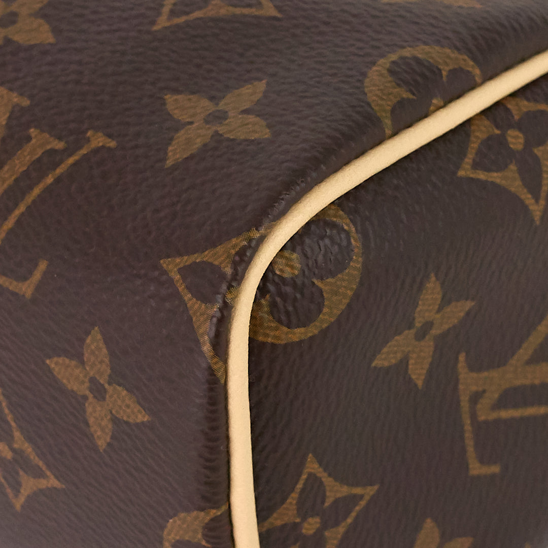 speedy nano monogram canvas bag