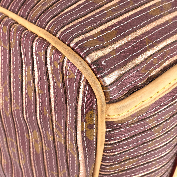 eden speedy bandoulière 30 canvas handbag