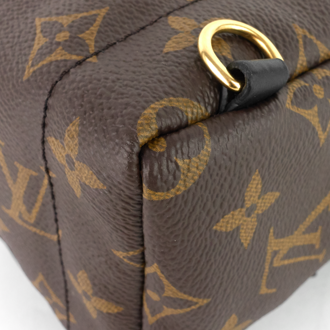 palm springs mini monogram canvas backpack