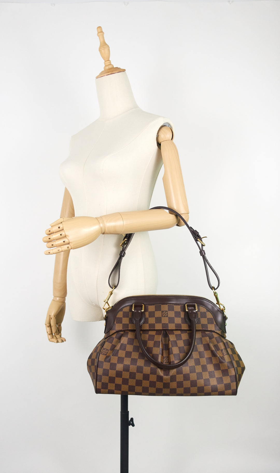 trevi pm damier ebene canvas bag