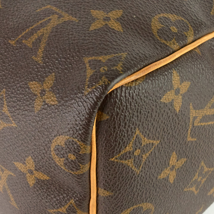 speedy 25 monogram canvas bag