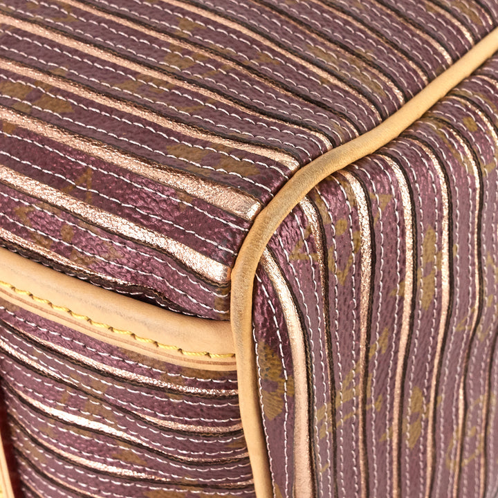 eden speedy bandoulière 30 canvas handbag