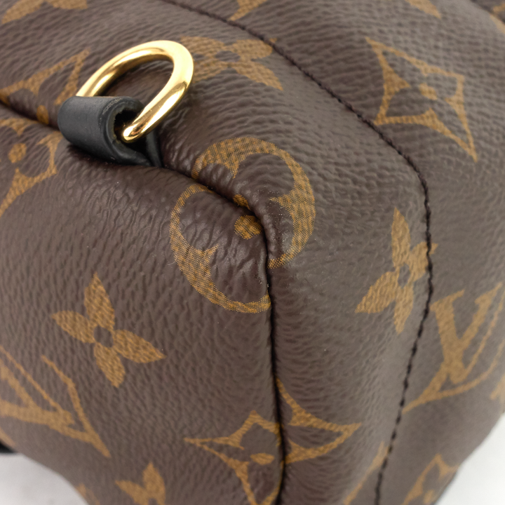 palm springs mini monogram canvas backpack