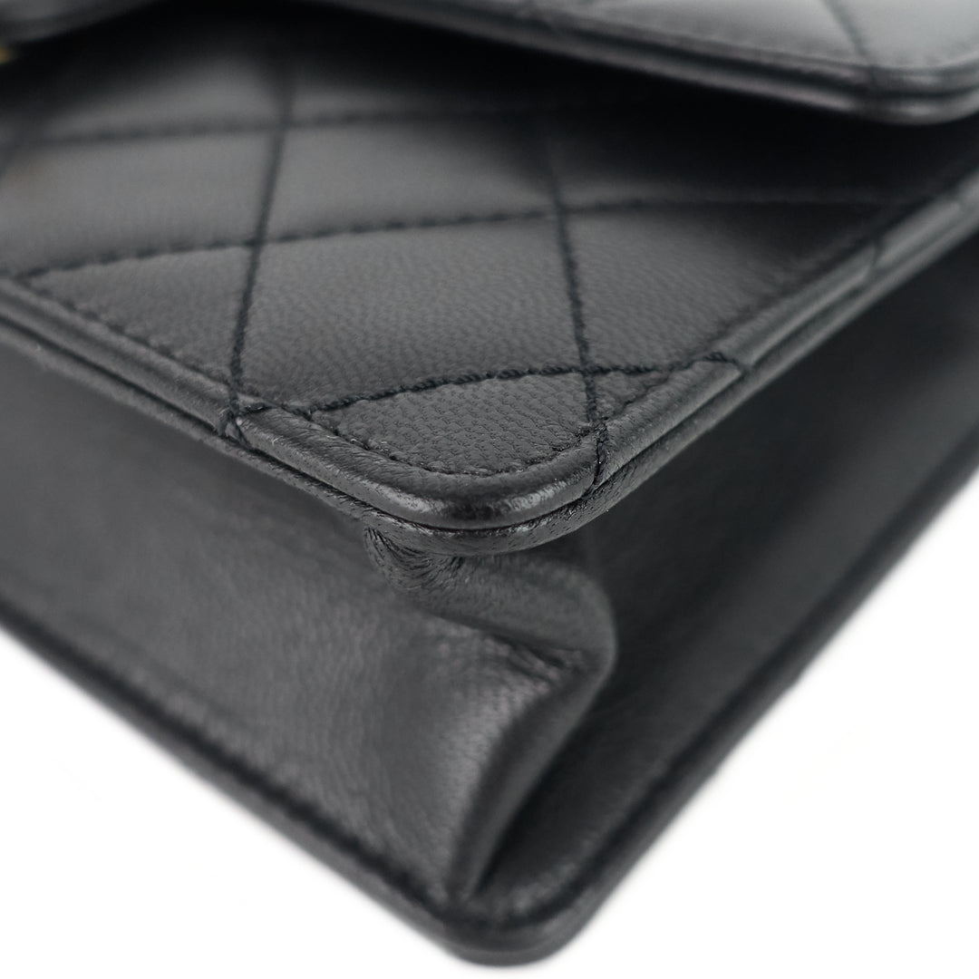chic pearls mini lambskin leather bag