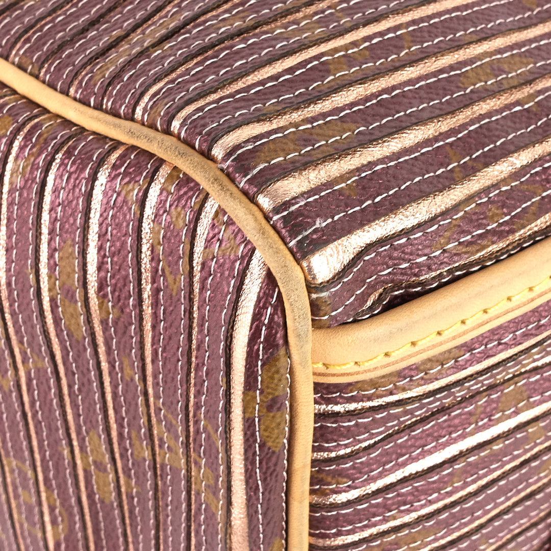 eden speedy bandoulière 30 canvas handbag