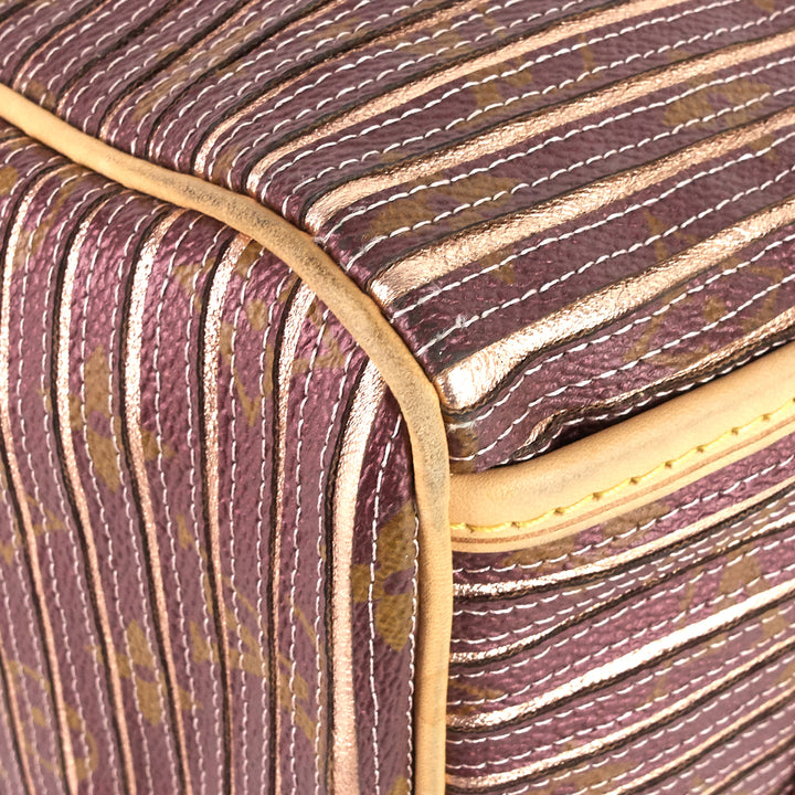 eden speedy bandoulière 30 canvas handbag