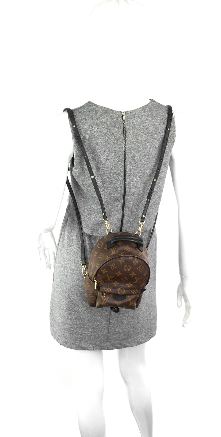 palm springs mini monogram canvas backpack
