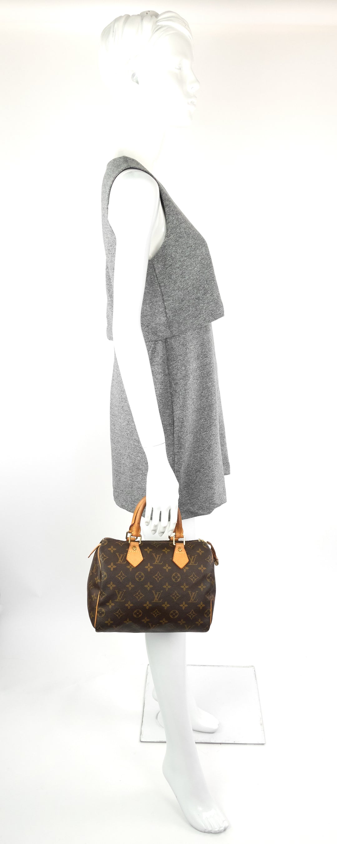 speedy 25 monogram canvas bag