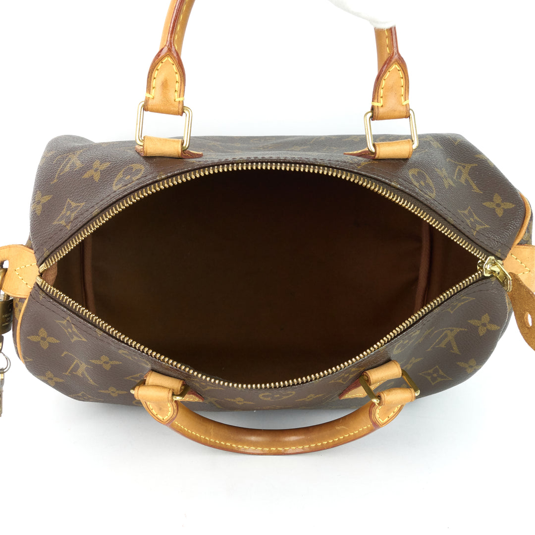 speedy 30 monogram canvas bag